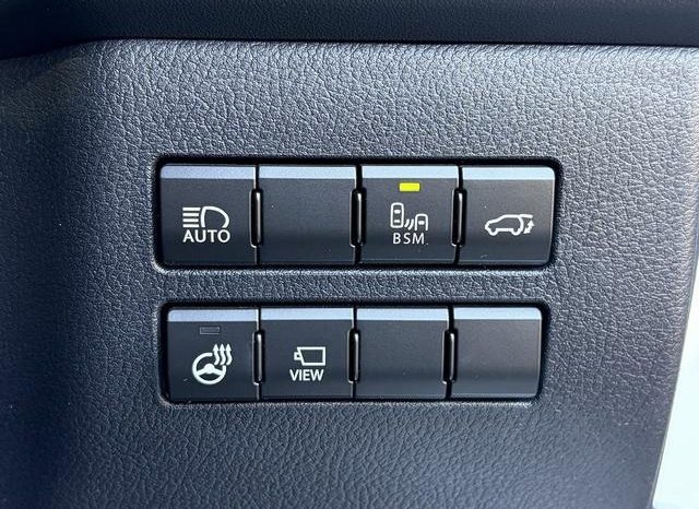 Lexus NX NX300 F Sport 2018 full