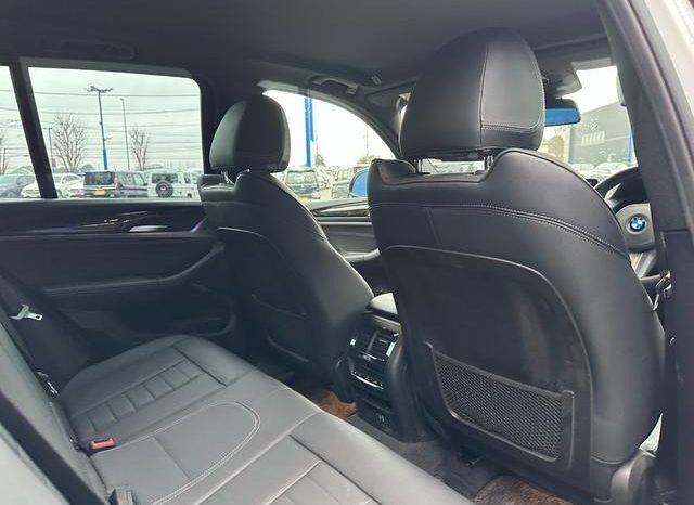 BMW X3 X Drive 20I M Sport 2018 full