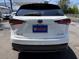 Lexus NX NX300 F Sport 2018 full