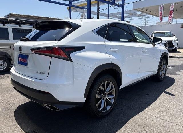 Lexus NX NX300 F Sport 2018 full