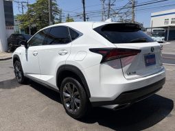 Lexus NX NX300 F Sport 2018 full