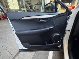 Lexus NX NX300 F Sport 2018 full