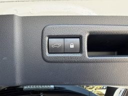 Lexus NX NX300 F Sport 2018 full
