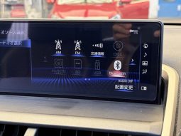 Lexus NX NX300 F Sport 2018 full