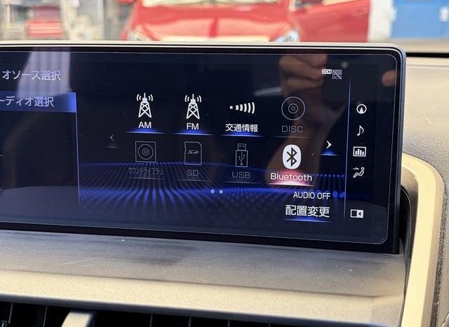Lexus NX NX300 F Sport 2018 full