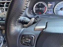 Lexus NX NX300 F Sport 2018 full