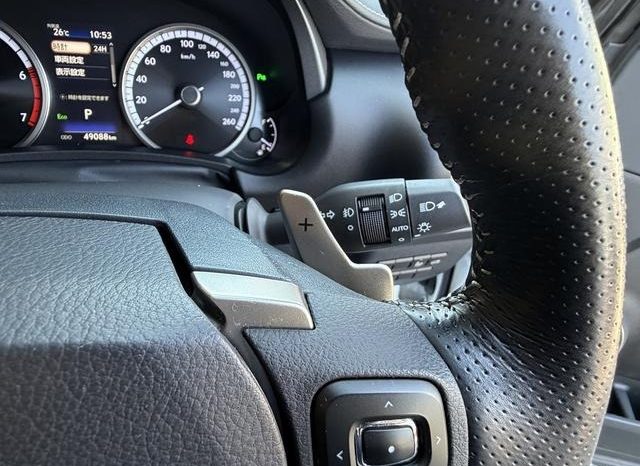 Lexus NX NX300 F Sport 2018 full