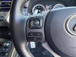 Lexus NX NX300 F Sport 2018 full