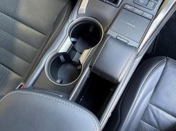 Lexus NX NX300 F Sport 2018 full