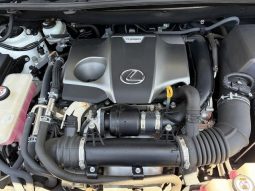 Lexus NX NX300 F Sport 2018 full