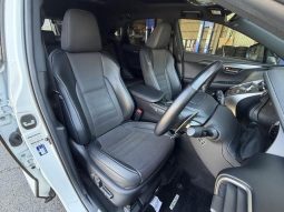 Lexus NX NX300 F Sport 2018 full