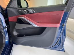 BMW X6 X DRIVE 35D M SPORT 2021 full