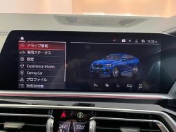 BMW X6 X DRIVE 35D M SPORT 2021 full