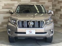 TOYOTA LAND CRUISER PRADO TX 2020 full
