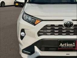 TOYOTA RAV4 G 2020 full