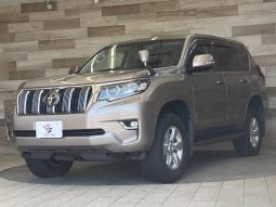 TOYOTA LAND CRUISER PRADO TX 2020