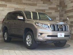 TOYOTA LAND CRUISER PRADO TX 2020 full