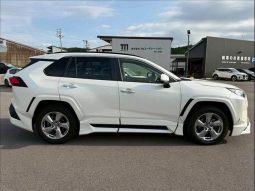 TOYOTA RAV4 G 2020 full